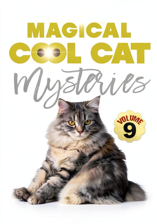 Magical Cool Cat Book 9 Amazon Kindle eBook Mystery-0