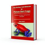 Reptile Care Guide eBook by HerpExpert 32‑Page PDF for Beginners-0